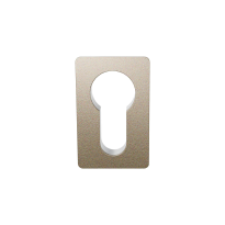 GPF1142.A4 Minimalistische cilinderrozet 42x28x1,5mm Champagne Blend