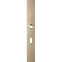 GPF1175.A4R langschild rechthoekig BB56 rechtsdraaiend Champagne blend