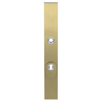 GPF9038.P4 veiligheidsbuitenschild met kerntrekbeveiliging PVD mat messing
