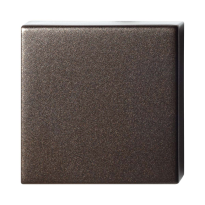 GPF9388.A1 Dark blend vierkante veiligheidsbuitenrozet blind