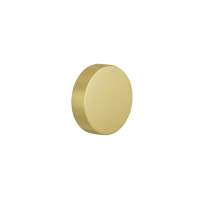 GPF9860.P4 excentrische knop 60x16mm tbv VH-schilden vast incl. wisselstift PVD mat messing