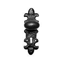 KP1213 knop 63x38mm op schild 203x63mm
