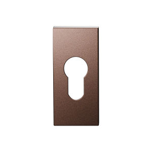 GPF1101 Bronze RH cil.rozet 70x32mm