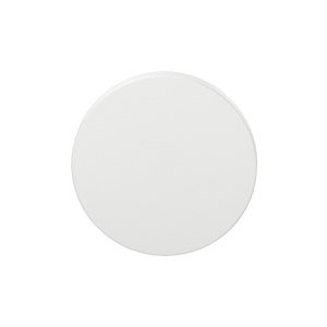 GPF199E Blinde Rozet 53x6mm Wit