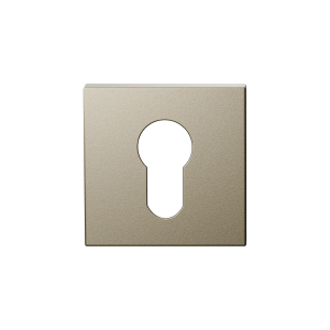 GPF1102.A4.0902 cilinderrozet 50x50x8 mm Champagne blend