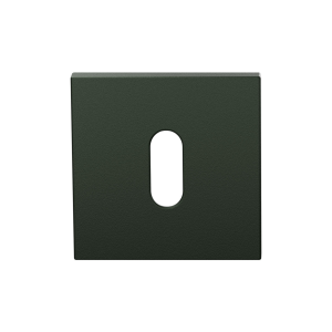 GPF199E Sleutelrozet 53x53x6,5 mm Moss