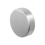 GPF9860.09 RVS mat excentrische knop 60x16mm t.b.v. veiligheidsschilden vast
