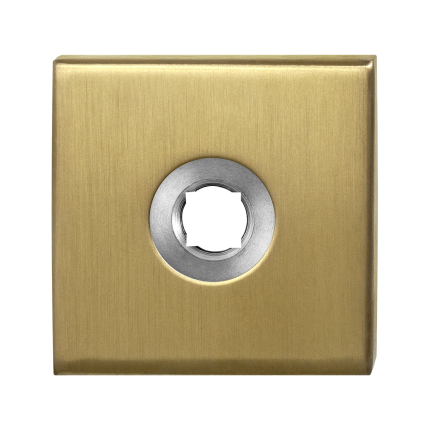 GPF1100.02P4L PVD m mat vie roz 50x50x8