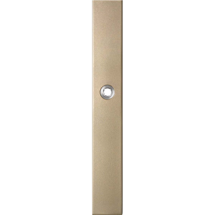 GPF1175.A4L Champ. langsch rechth blind