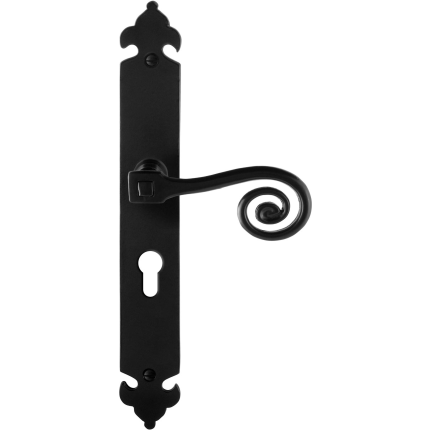 GPF6200.60R deurkruk op schild 291x41x4