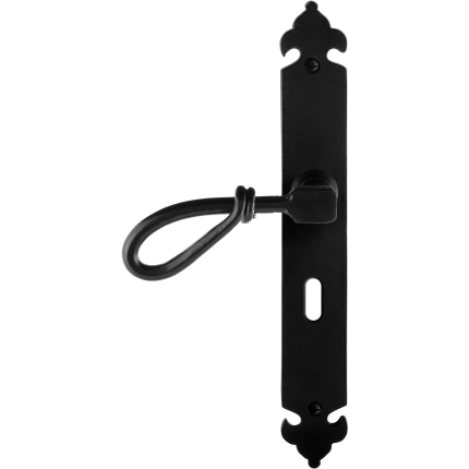 GPF6255.60L deurkruk op schild 291x41x4