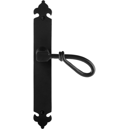 GPF6255.60R deurkruk op schild 291x41x4