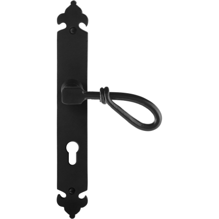 GPF6255.60R deurkruk op schild 291x41x4
