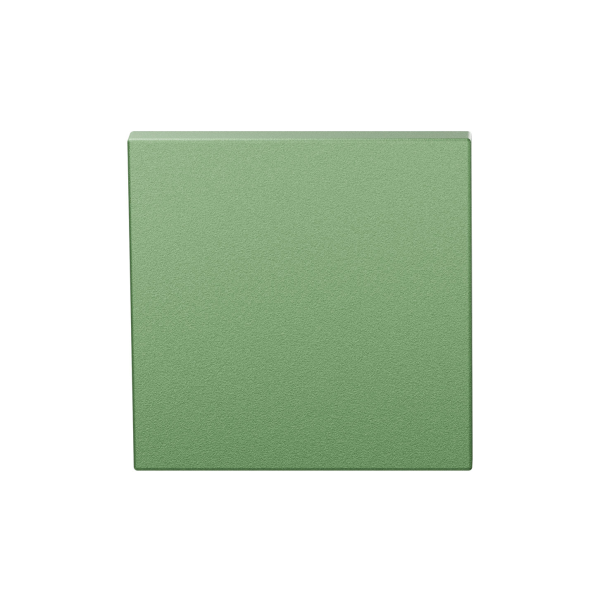 GPF199E Blinde Rozet 53x53x6,5 mm Leaf