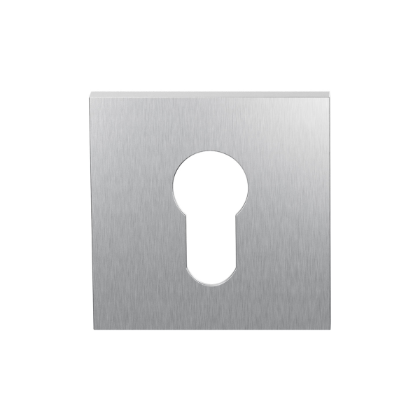 GPF199E Cilinderrozet 53x53x6,5 mm RVS Geborsteld