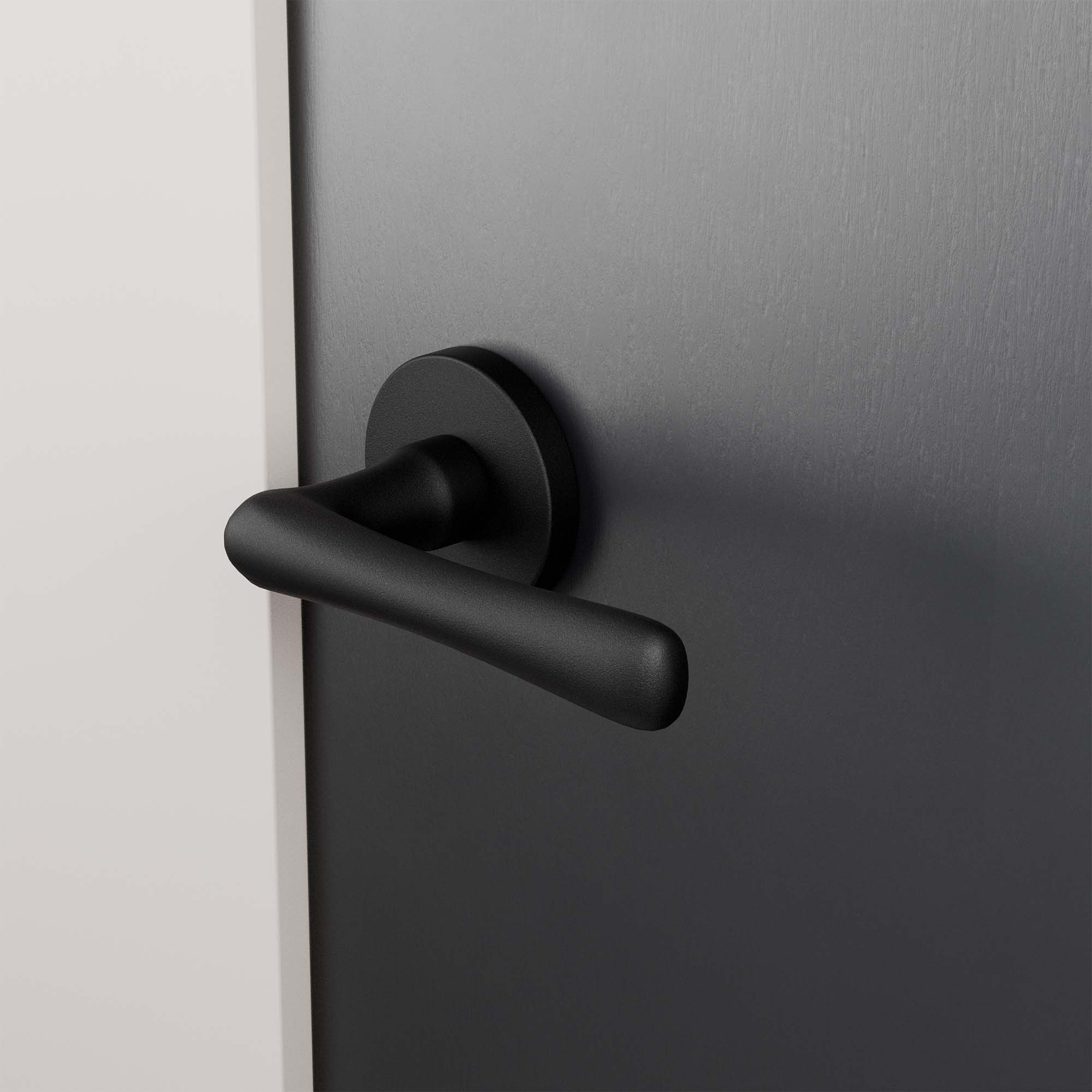 GPF1312610100 00 rozet sfeer deur donker schuin.jpg