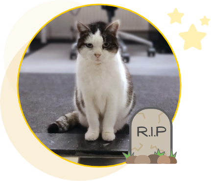 Jans RIP